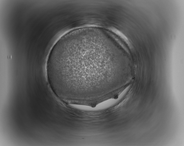 X0000099571423200805301532