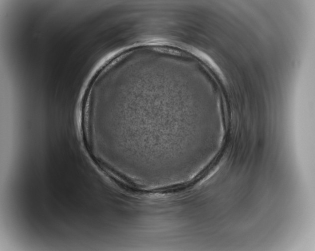 X0000099571424200805301532