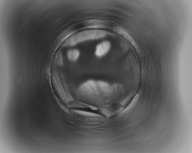 X0000099571425200805301532