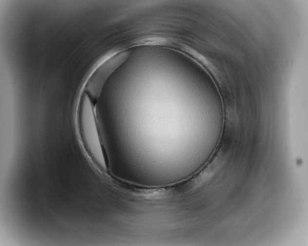 X0000099571426200805301532