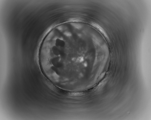 X0000099571427200805301532