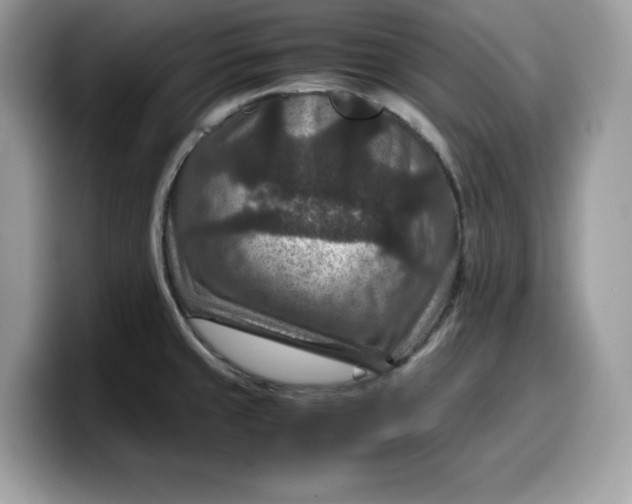 X0000099571429200805301532