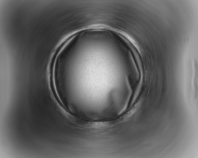 X0000099571430200805301532