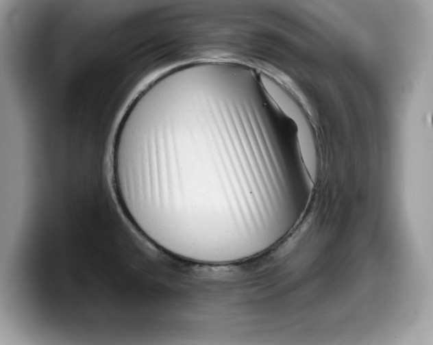 X0000099571432200805301532