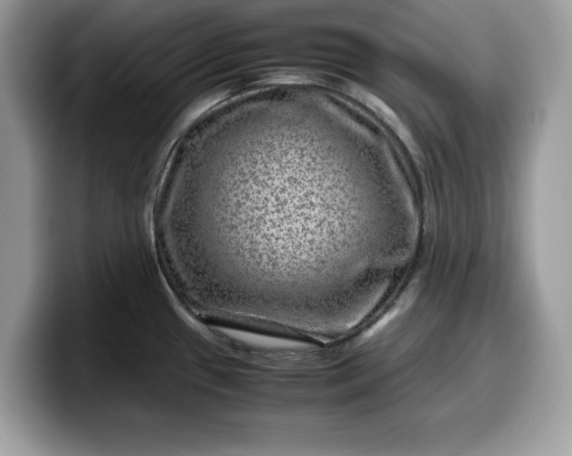 X0000099571433200805301532