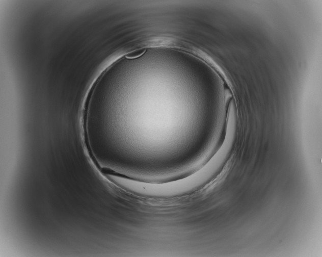 X0000099571434200805301532