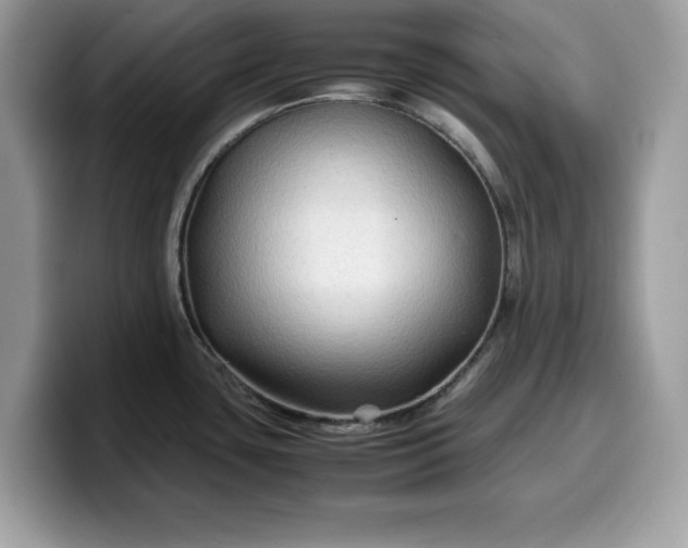 X0000099571435200805301532
