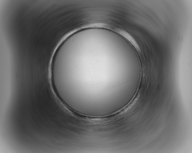 X0000099571436200805301532