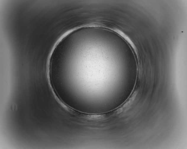 X0000099571437200805301532