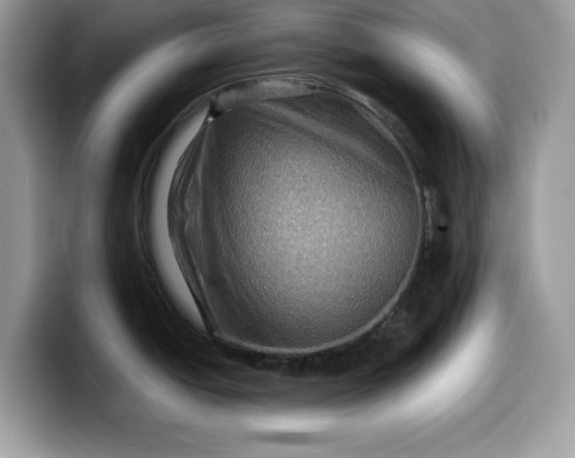 X0000099571438200805301532