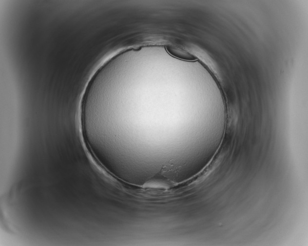 X0000099571439200805301532