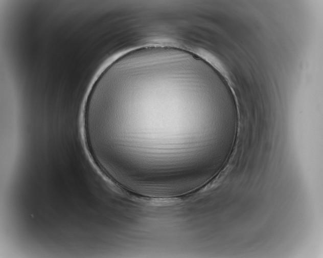 X0000099571440200805301532