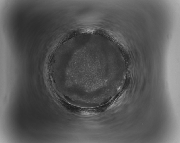 X0000099571441200805301531