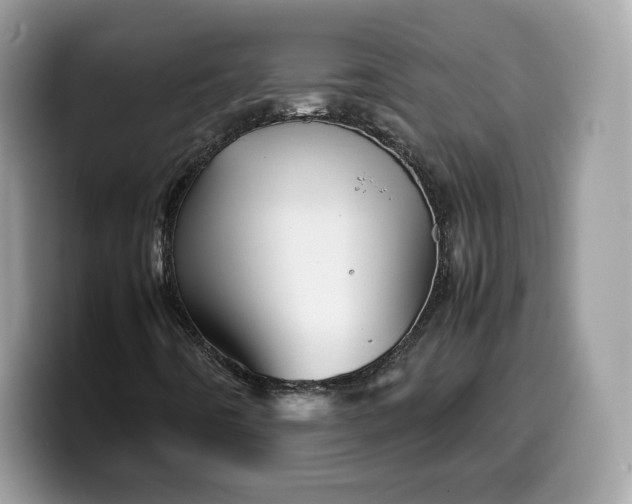 X0000099571442200805301531