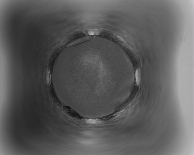 X0000099571443200805301531