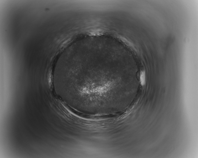 X0000099571444200805301531