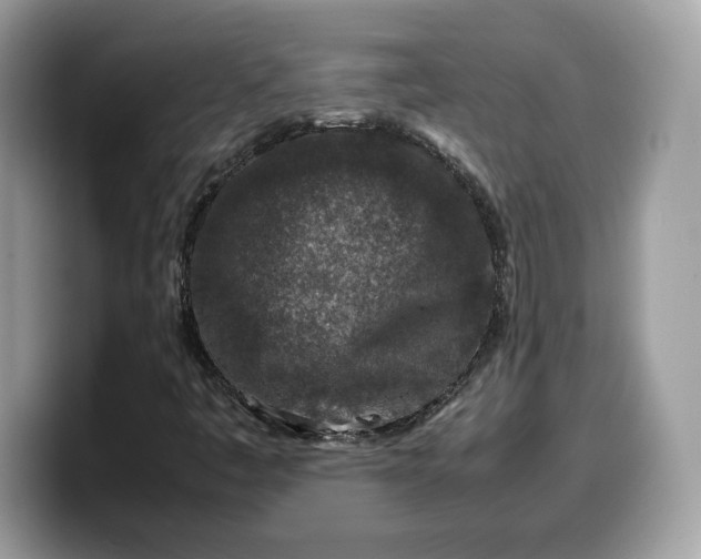 X0000099571445200805301531