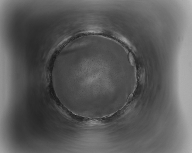 X0000099571448200805301531