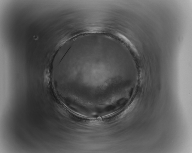 X0000099571449200805301531