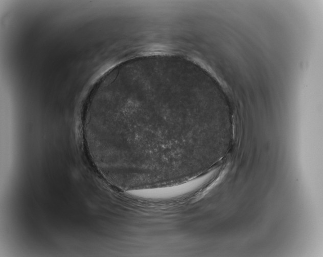 X0000099571453200805301531