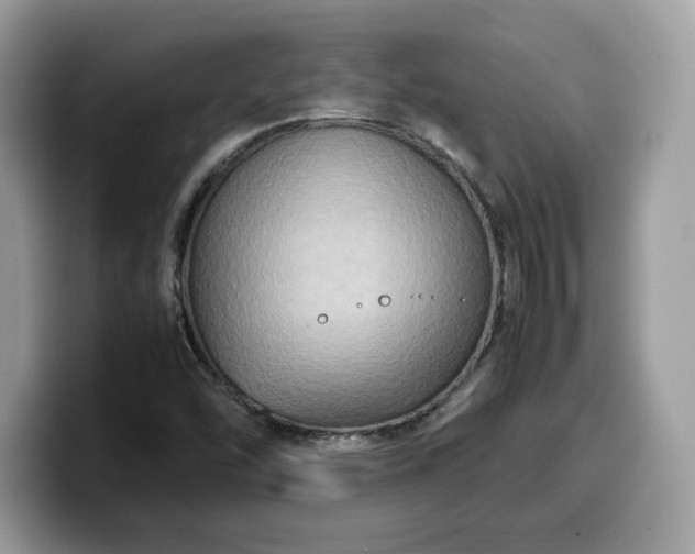 X0000099571454200805301531