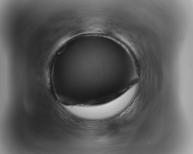 X0000099571455200805301531