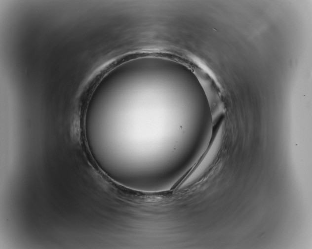 X0000099571456200805301531