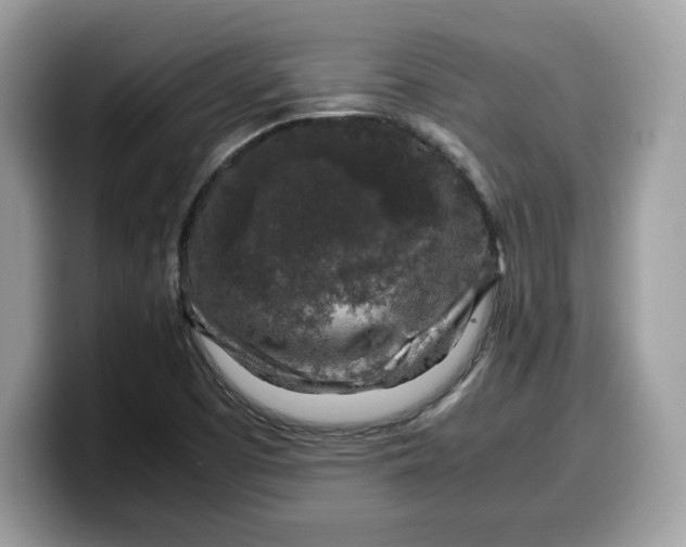 X0000099571457200805301531