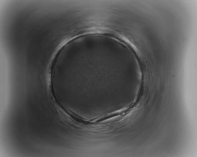X0000099571459200805301531