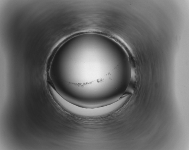 X0000099571460200805301531
