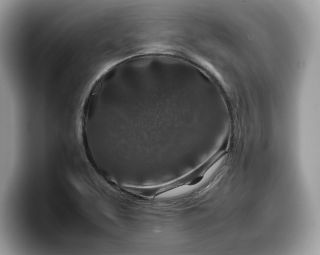 X0000099571463200805301531