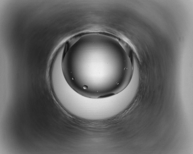 X0000099571464200805301531