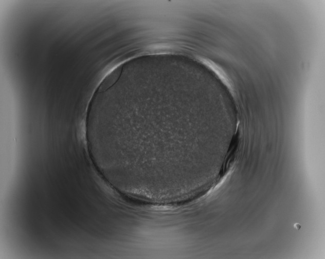X0000099571465200805301531