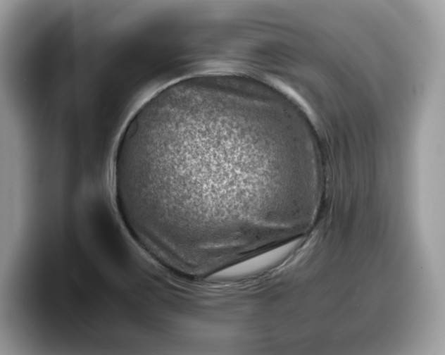 X0000099571467200805301531