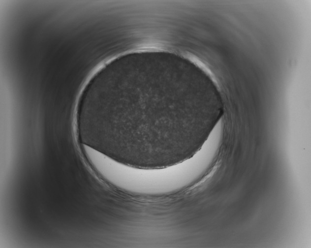 X0000099571469200805301531