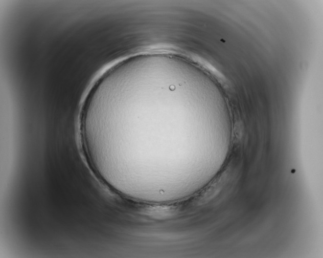 X0000099571470200805301531