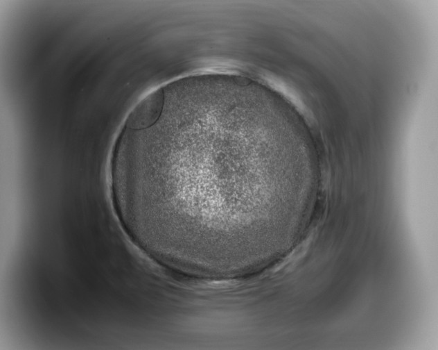 X0000099571471200805301531