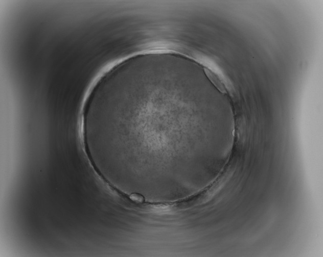 X0000099571472200805301531