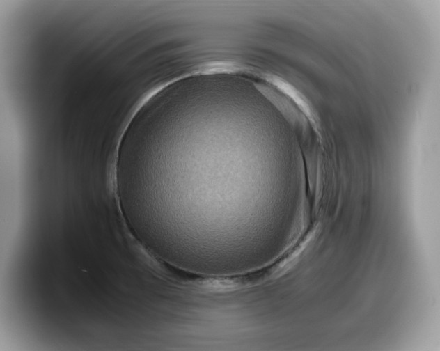 X0000099571473200805301531