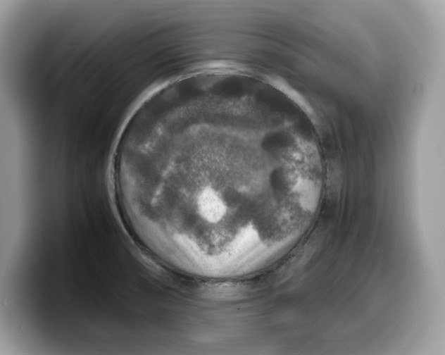 X0000099571474200805301531