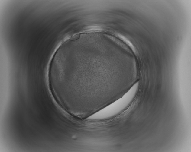 X0000099571475200805301531