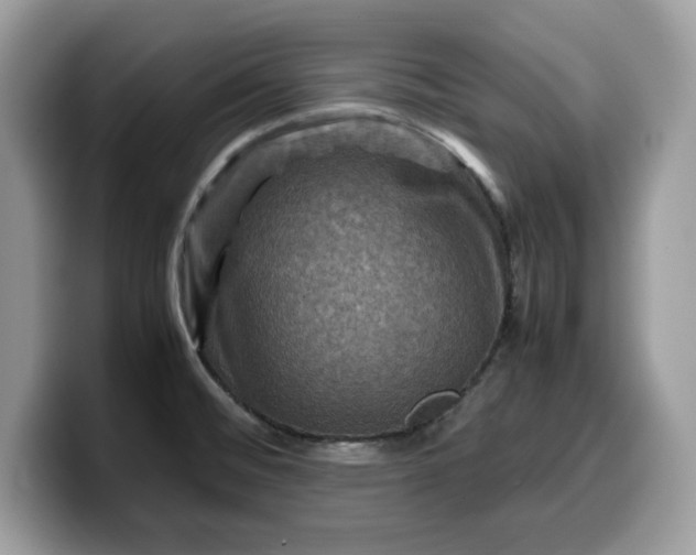X0000099571476200805301531