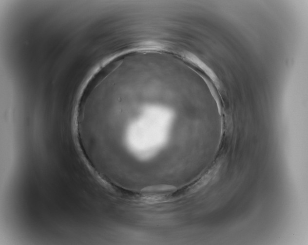 X0000099571477200805301531