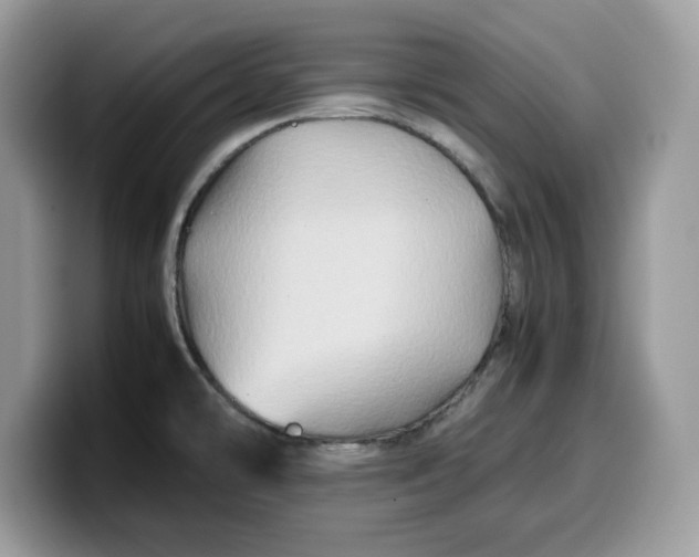 X0000099571478200805301531