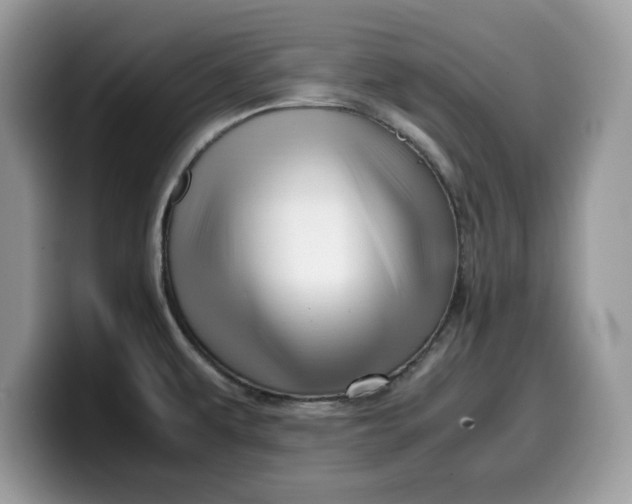 X0000099571479200805301531