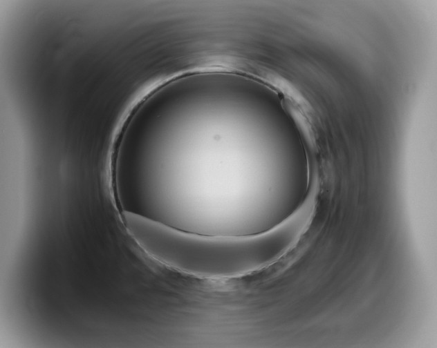 X0000099571480200805301531