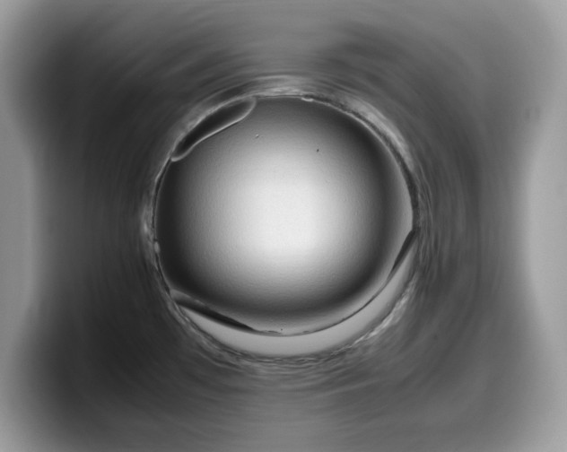 X0000099571481200805301531
