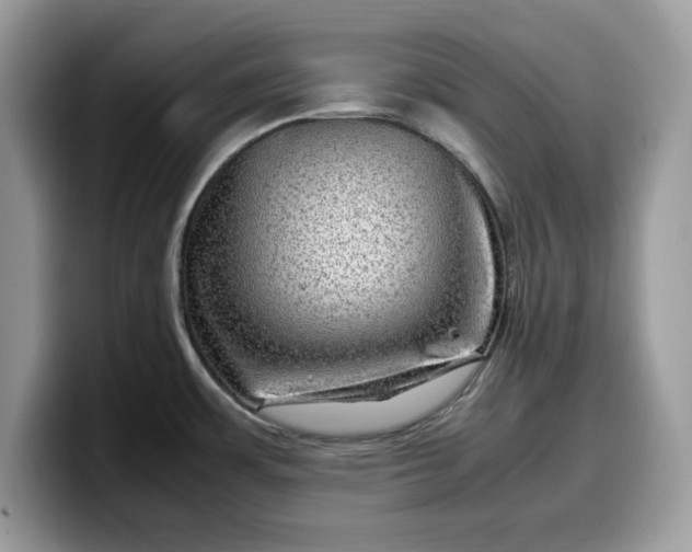 X0000099571483200805301531