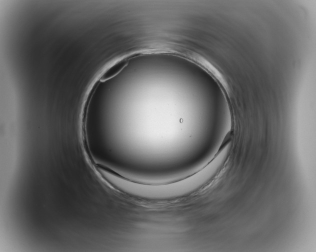 X0000099571485200805301531
