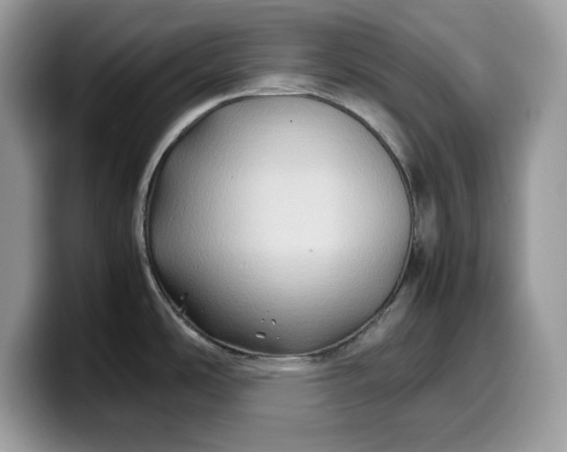 X0000099571486200805301531